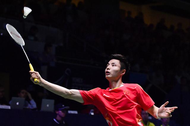 在陕西朱鹮 在陕西朱鹮